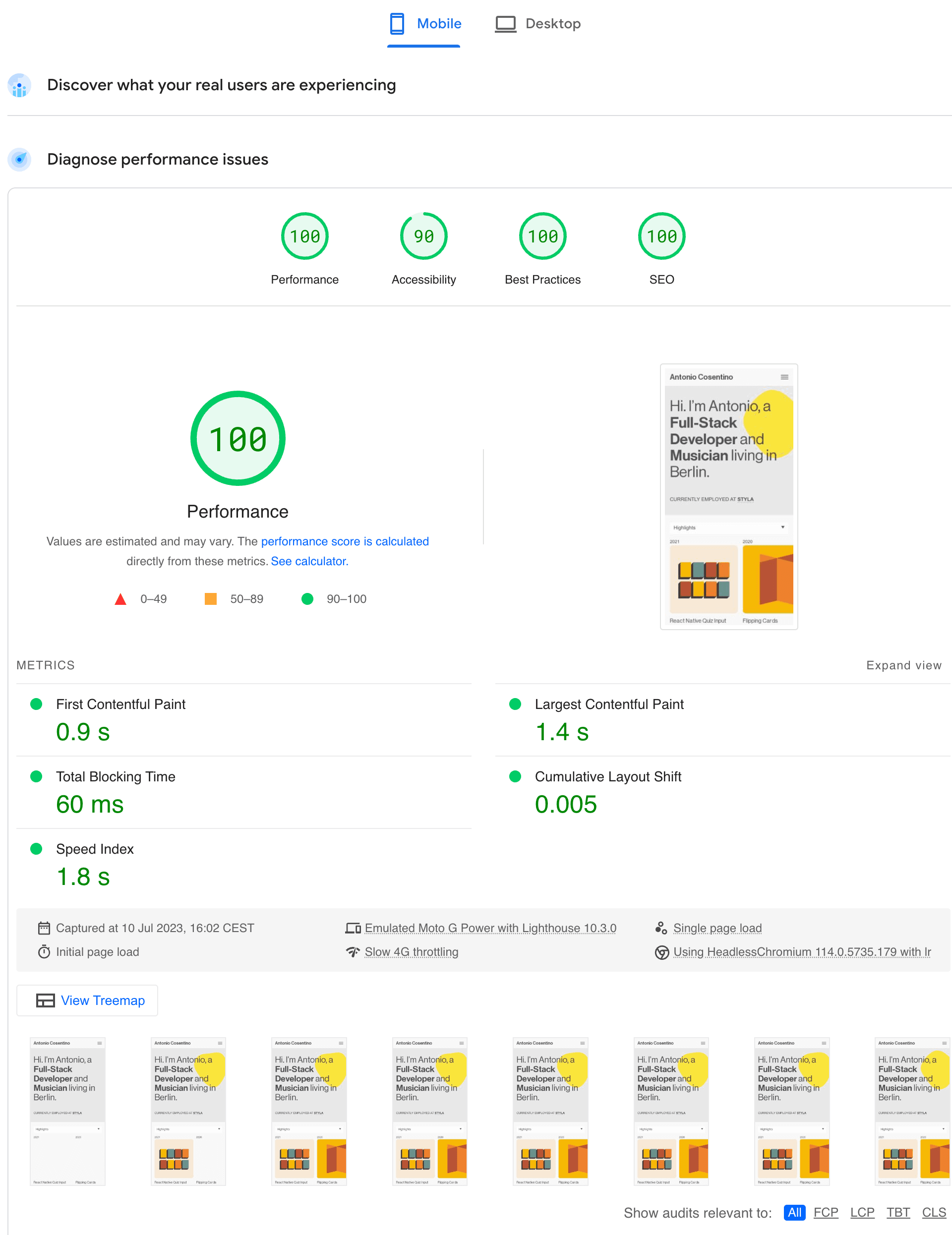 mobile page speed result 100%